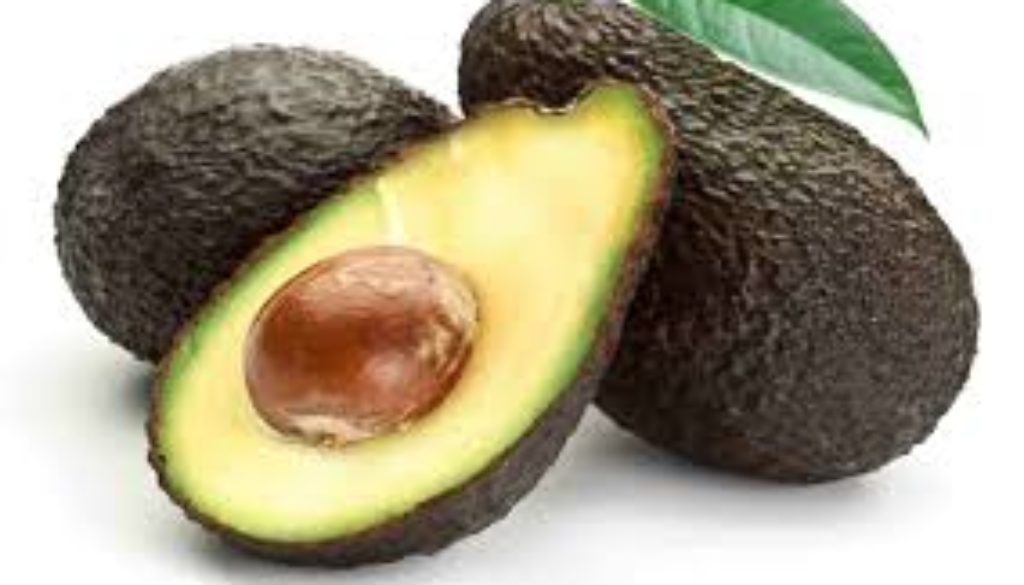 avocado