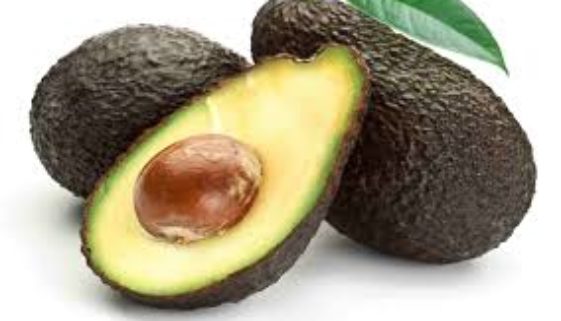 avocado