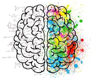 brain-2062057__340