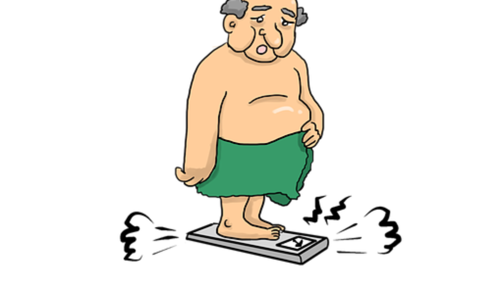fat-3313923__340