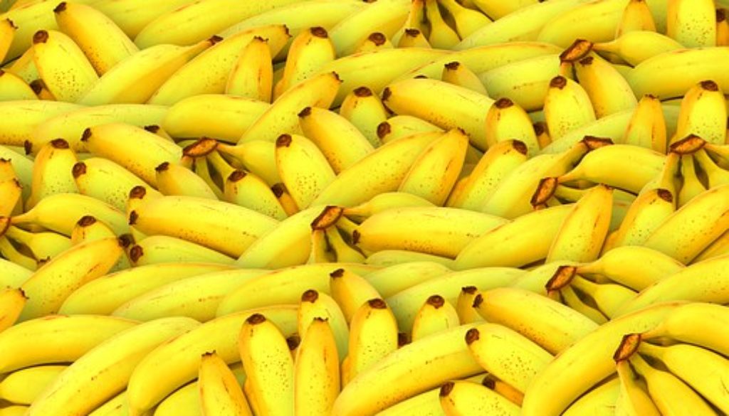 bananas-1119790__340